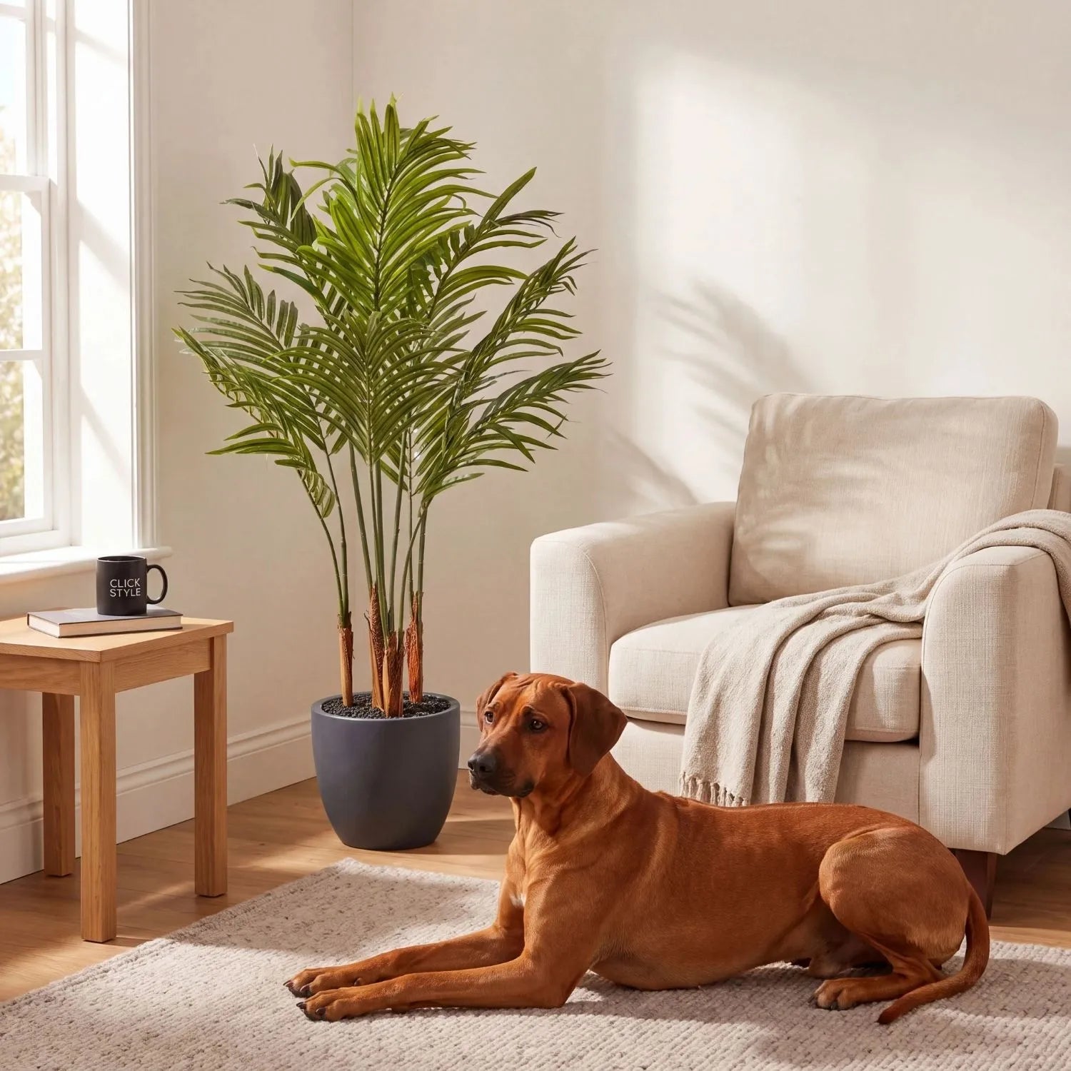 Artificial Areca Palm Plant with Dark Grey Pot – Tall Realistic Indoor Faux Palm 120x80x80cm styled in a cosy neutral living room with a Rhodesian Ridgeback relaxing beside it | Click Style