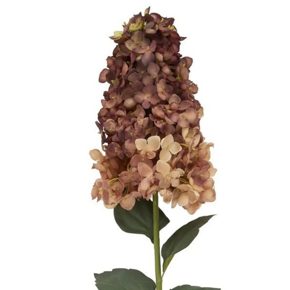 Artificial Burgundy & Peach Long Stem Spear Hydrangea with Realistic Green Leaves – Tall Faux Hydrangea Flower 88cm – Detailed View of Tapered Hydrangea Flower Head with Burgundy Dusty Rose & Soft Peach Blooms | Click Style