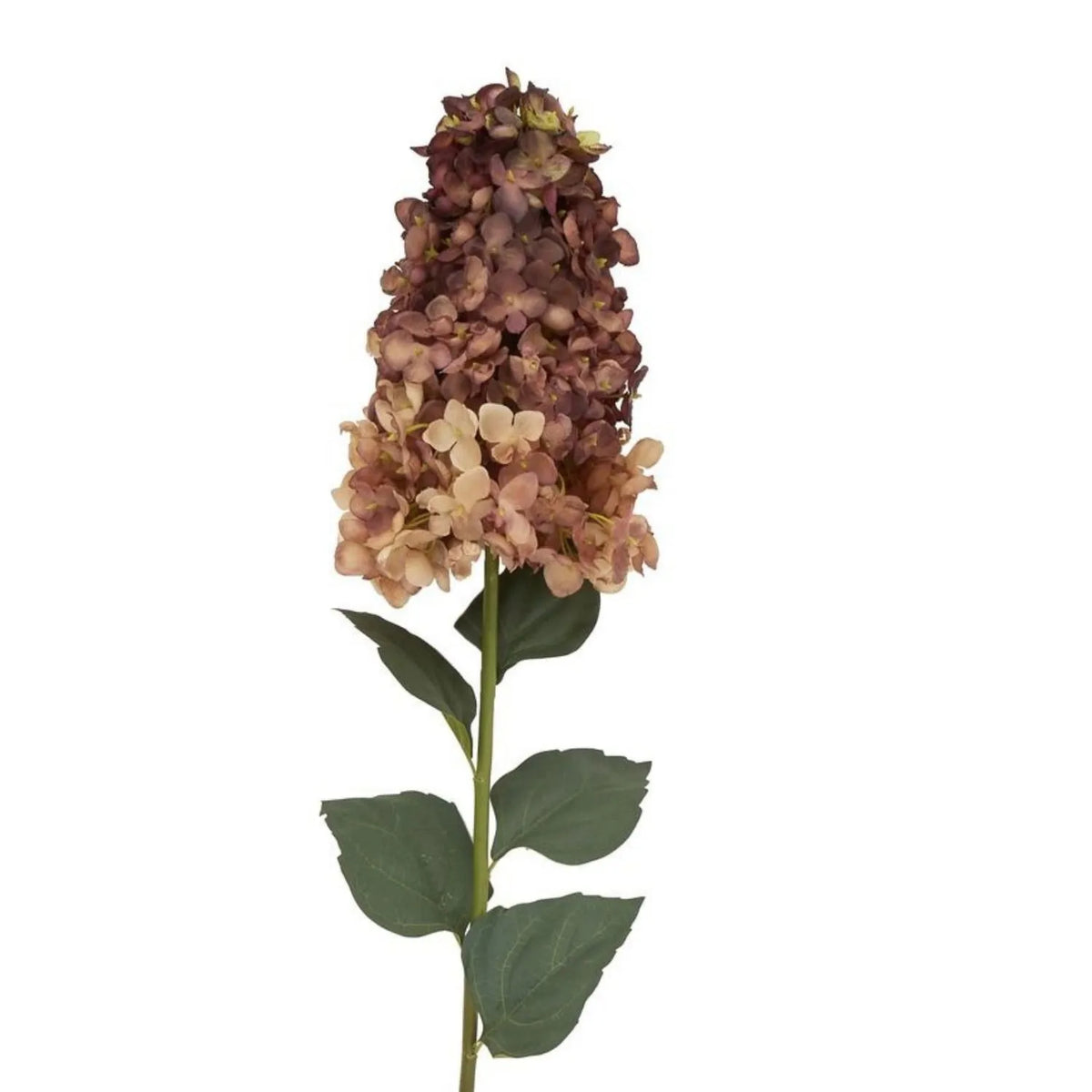 Artificial Burgundy & Peach Long Stem Spear Hydrangea with Realistic Green Leaves – Tall Faux Hydrangea Flower 88cm – Close-Up of Pointed Flower Head with Graduated Burgundy Russet & Peach Petals and Veined Green Leaves | Click Style
