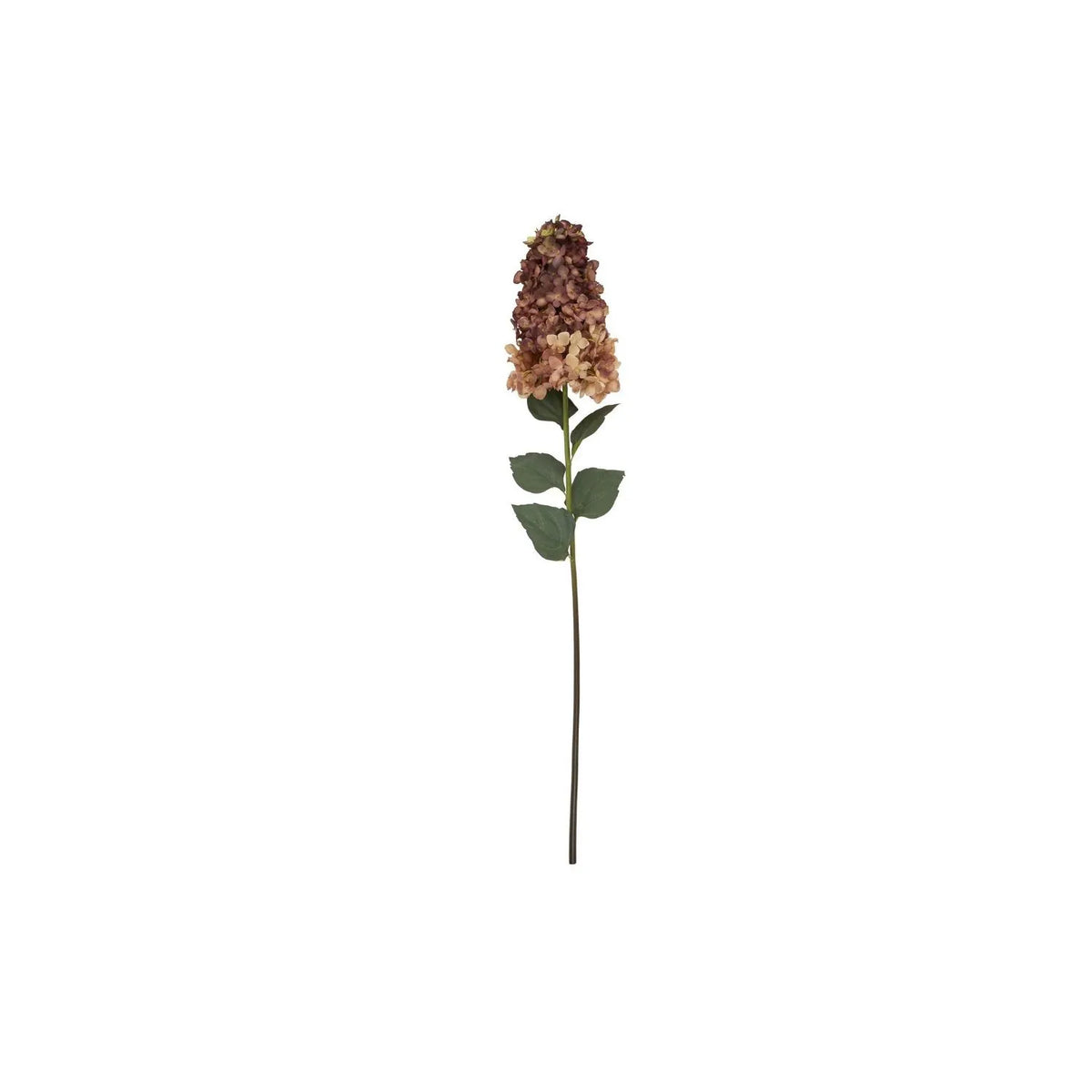 Artificial Burgundy & Peach Long Stem Spear Hydrangea with Realistic Green Leaves – Tall Faux Hydrangea Flower 88cm – Full Single Stem Showing Tapered Burgundy & Peach Flower Head and Long Green Stem on White Background | Click Style