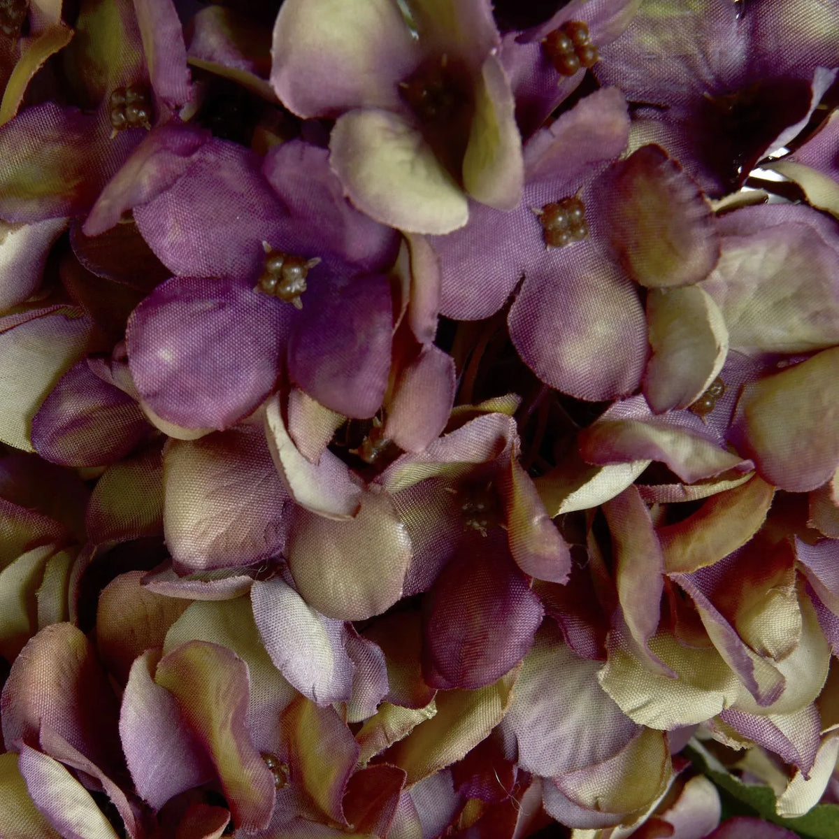 Artificial Burgundy & Plum Hydrangea Stem with Realistic Green Leaves – Lifelike Faux Purple Hydrangea Flower 42x18x18cm – Extreme Close-Up Showing Fabric Petal Texture, Plum Purple Colouring and Realistic Flower Centres | Click Style