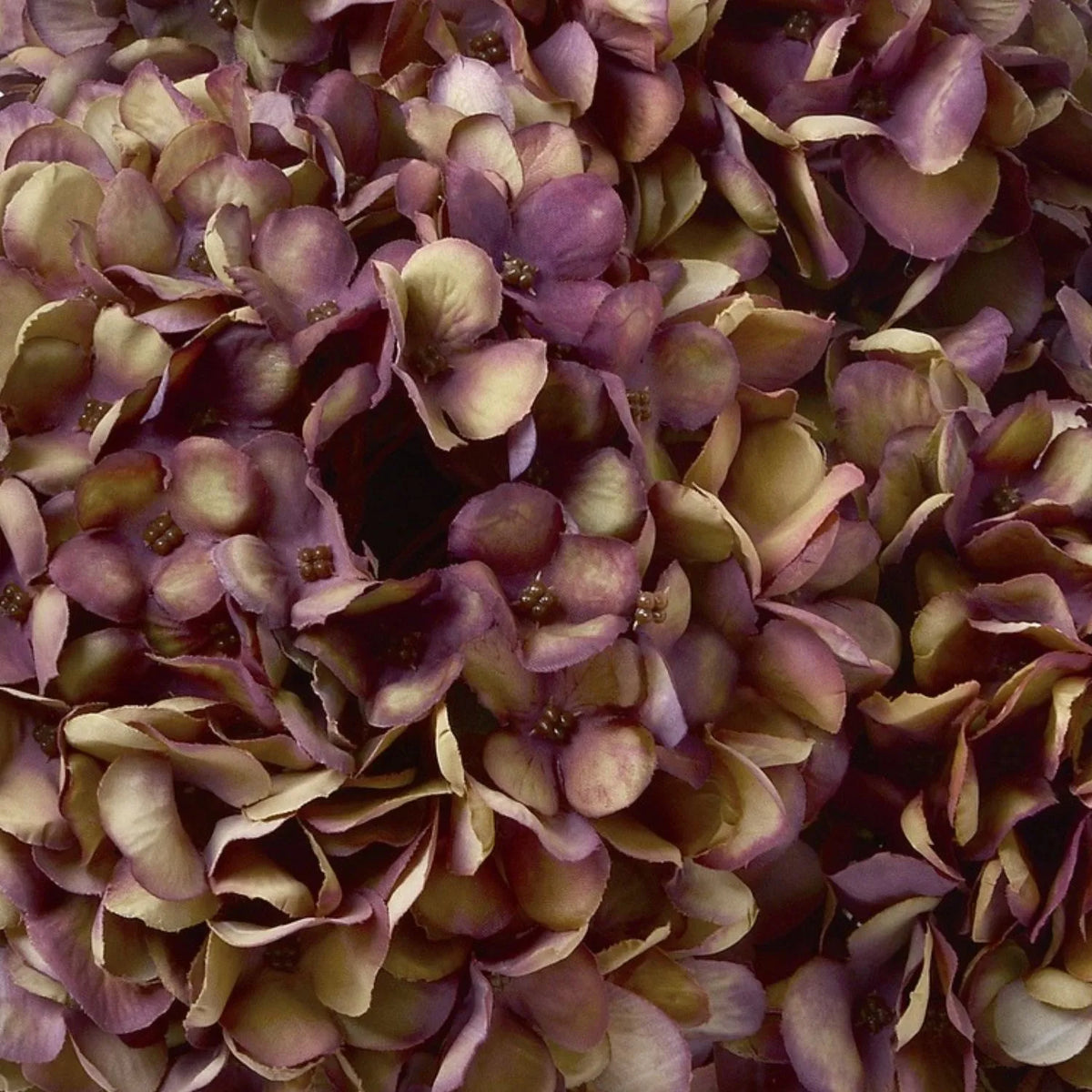 Artificial Burgundy & Plum Hydrangea Stem with Realistic Green Leaves – Lifelike Faux Purple Hydrangea Flower 42x18x18cm – Close-Up of Individually Detailed Purple and Burgundy Petals with Soft Green Centres | Click Style