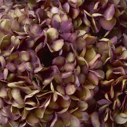 Artificial Burgundy & Plum Hydrangea Stem with Realistic Green Leaves – Lifelike Faux Purple Hydrangea Flower 42x18x18cm – Close-Up of Individually Detailed Purple and Burgundy Petals with Soft Green Centres | Click Style