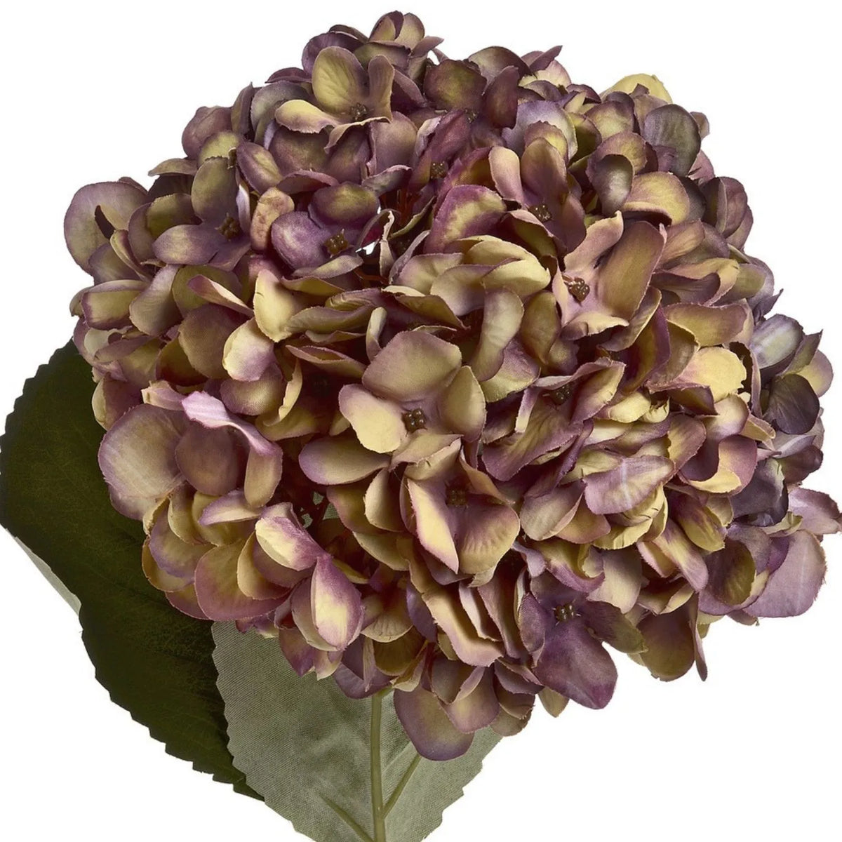 Artificial Burgundy & Plum Hydrangea Stem with Realistic Green Leaves – Lifelike Faux Purple Hydrangea Flower 42x18x18cm – Detailed View of Rounded Hydrangea Bloom with Burgundy, Plum, Mauve and Muted Green Petals | Click Style