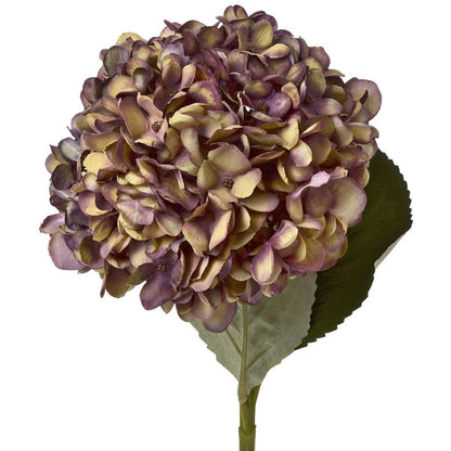 Artificial Burgundy & Plum Hydrangea Stem with Realistic Green Leaves – Lifelike Faux Purple Hydrangea Flower 42x18x18cm – Close-Up of Full Hydrangea Flower Head with Antique Green Petal Undertones and Serrated Green Leaves | Click Style