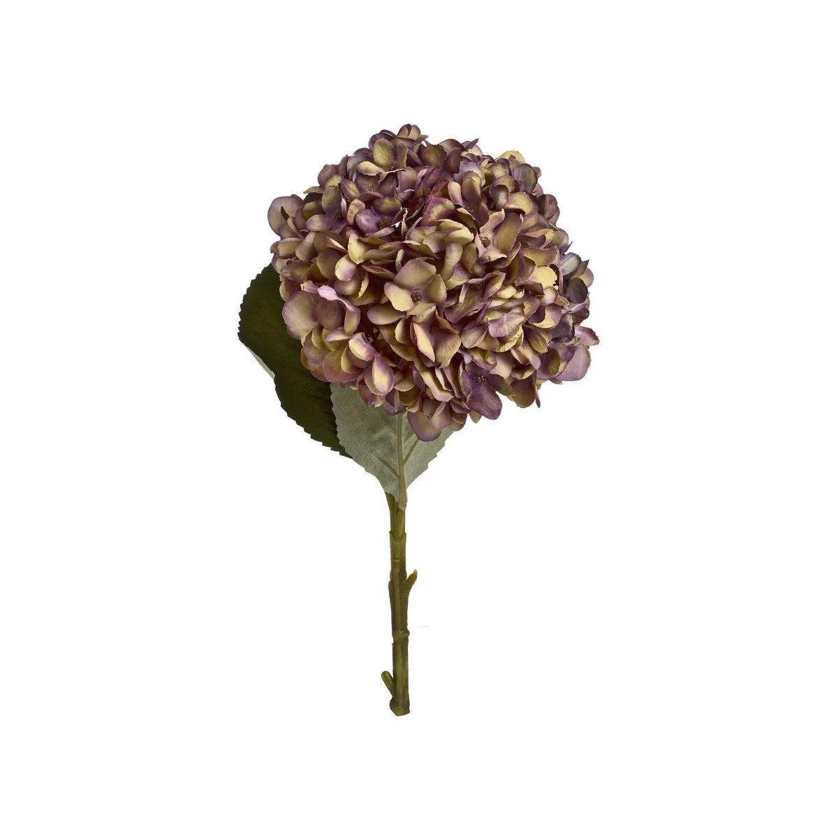 Artificial Burgundy & Plum Hydrangea Stem with Realistic Green Leaves – Lifelike Faux Purple Hydrangea Flower 42x18x18cm – Full Single Stem with Rounded Burgundy and Plum Flower Head on White Background | Click Style