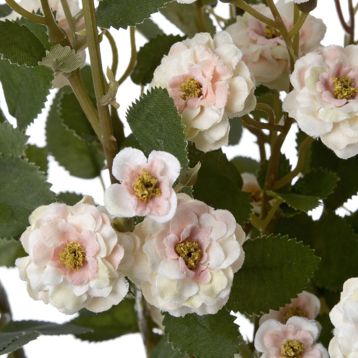 Artificial Cream & Pale Blush Wild Meadow Rose Spray with Long Stem Multiple Blooms & Rosebuds – Lifelike Pink Faux Rose Flowers with Realistic Green Foliage 74cm – Close-Up of Cream & Pale Blush Rose Blooms with Golden Centres | Click Style