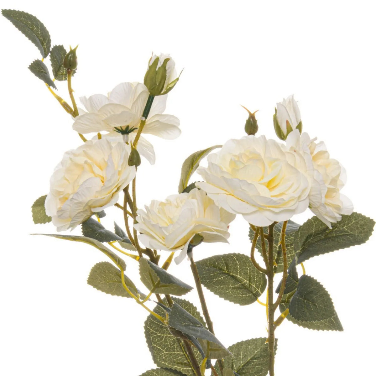 Artificial Creamy White Cottage Rose Stem with Multiple Blooms & Rosebuds – Lifelike Ivory Faux Rose Flowers with Realistic Green Foliage 53cm – Close-Up of Layered Ivory Rose Blooms & Rosebuds | Click Style