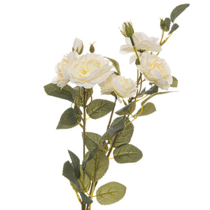 Artificial Creamy White Cottage Rose Stem with Multiple Blooms & Rosebuds – Lifelike Ivory Faux Rose Flowers with Realistic Green Foliage 53cm – Upper Stem with Multiple Blooms Rosebuds & Green Foliage | Click Style