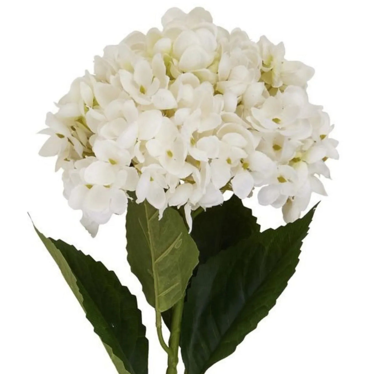 Artificial Creamy White Hydrangea Stem with Full Rounded Bloom & Realistic Green Foliage – Lifelike Faux White Hydrangea Flower 58cm – Extreme close-up showing layered fabric petals, delicate ivory undertones and pale green flower centres | Click Style