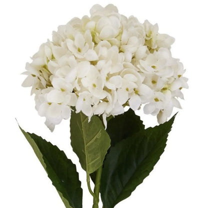 Artificial Creamy White Hydrangea Stem with Full Rounded Bloom & Realistic Green Foliage – Lifelike Faux White Hydrangea Flower 58cm – Extreme close-up showing layered fabric petals, delicate ivory undertones and pale green flower centres | Click Style