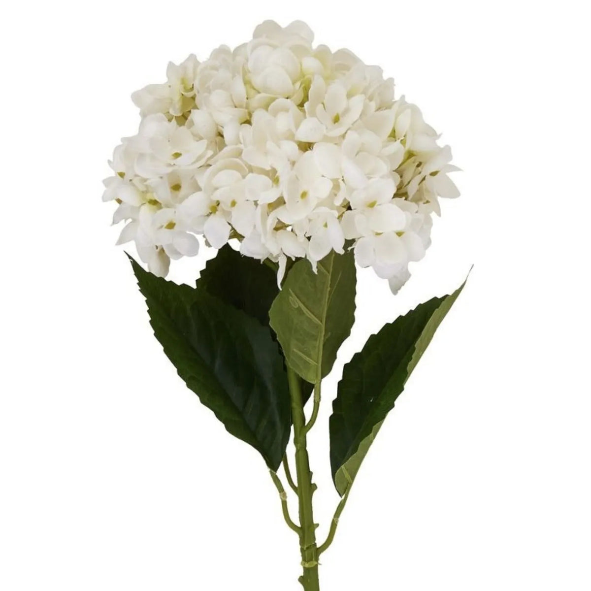 Artificial Creamy White Hydrangea Stem with Full Rounded Bloom & Realistic Green Foliage – Lifelike Faux White Hydrangea Flower 58cm – Close-up of rounded creamy white hydrangea bloom with broad green leaves and visible veining | Click Style