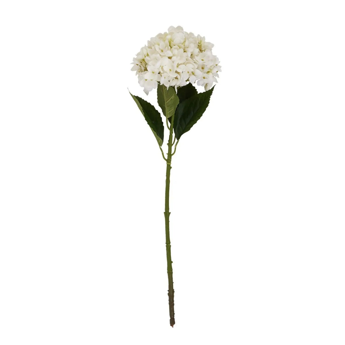 Artificial Creamy White Hydrangea Stem with Full Rounded Bloom & Realistic Green Foliage – Lifelike Faux White Hydrangea Flower 58cm – Full-length single stem showing rounded flower head, green leaves and natural-looking stem | Click Style