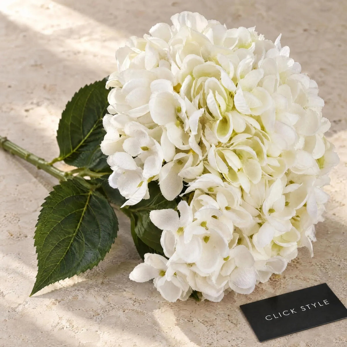 Artificial Creamy White Hydrangea Stem with Full Rounded Bloom & Realistic Green Foliage – Lifelike Faux White Hydrangea Flower 58cm – Close-Up of Creamy White Petals, Pale Green Flower Centres and Realistic Veined Leaves | Click Style