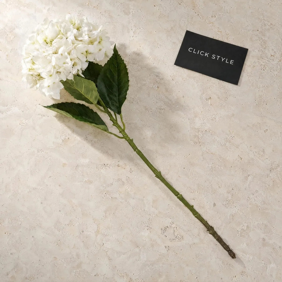 Artificial Creamy White Hydrangea Stem with Full Rounded Bloom & Realistic Green Foliage – Lifelike Faux White Hydrangea Flower 58cm – Single Stem Displayed on Ivory Limestone with CLICK STYLE Branding | Click Style