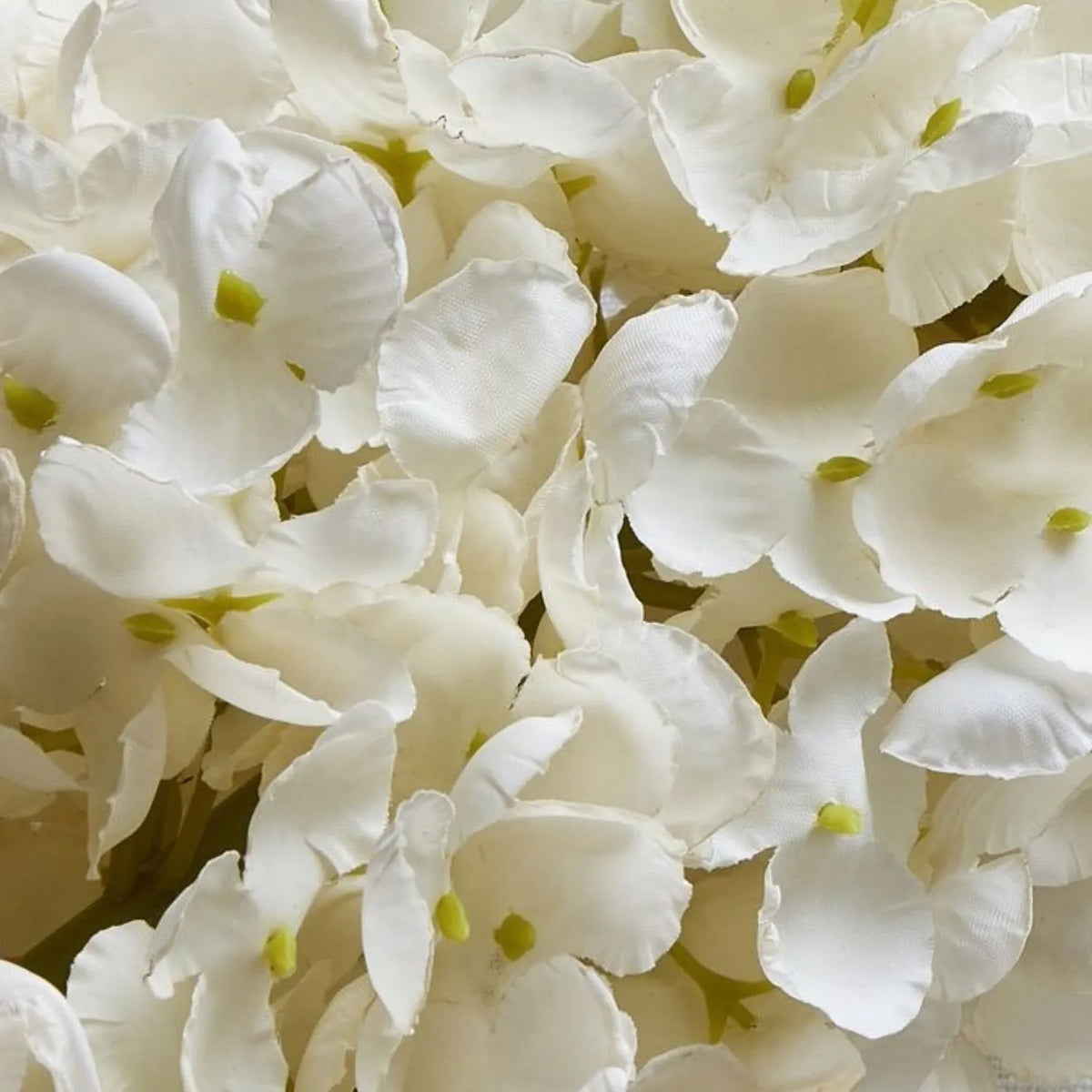 Artificial Creamy White Long Stem Spear Hydrangea with Pointed Flower Head & Realistic Green Leaves – Tall Faux Cream Hydrangea Flower 88cm Extreme Close-Up Showing Delicate Fabric Petal Texture Creamy White Colouring and Pale Green Flower Centres | Click Style