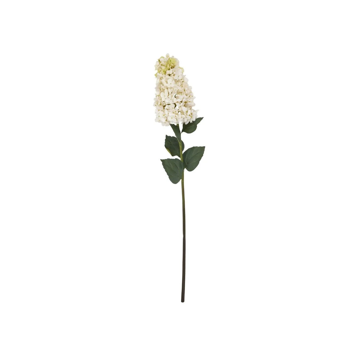Artificial Creamy White Long Stem Spear Hydrangea with Pointed Flower Head & Realistic Green Leaves – Tall Faux Cream Hydrangea Flower 88cm Showing Full Single Stem with Tapered Creamy White Blooms and Dark Green Foliage on White Background | Click Style