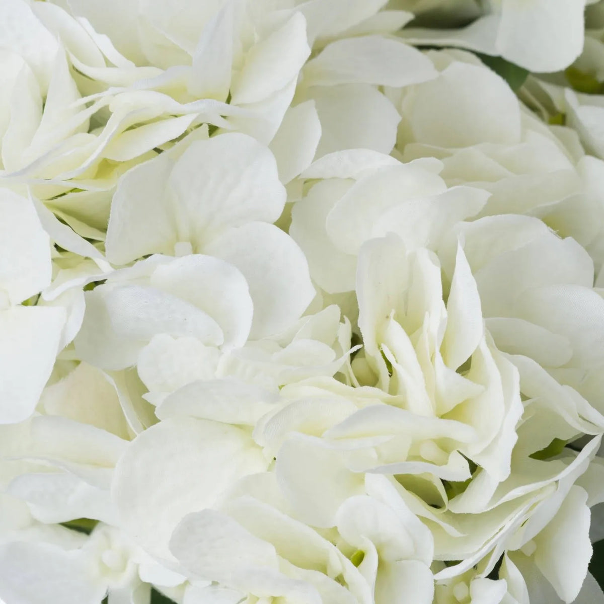 Artificial Creamy White Multi-Bloom Hydrangea Bouquet Stem with Realistic Green Foliage – Lifelike Faux Cream Hydrangea Arrangement 54x34x34cm – Extreme Close-Up of Soft Cream Hydrangea Petals with Delicate Veining and Pale Green Centres | Click Style