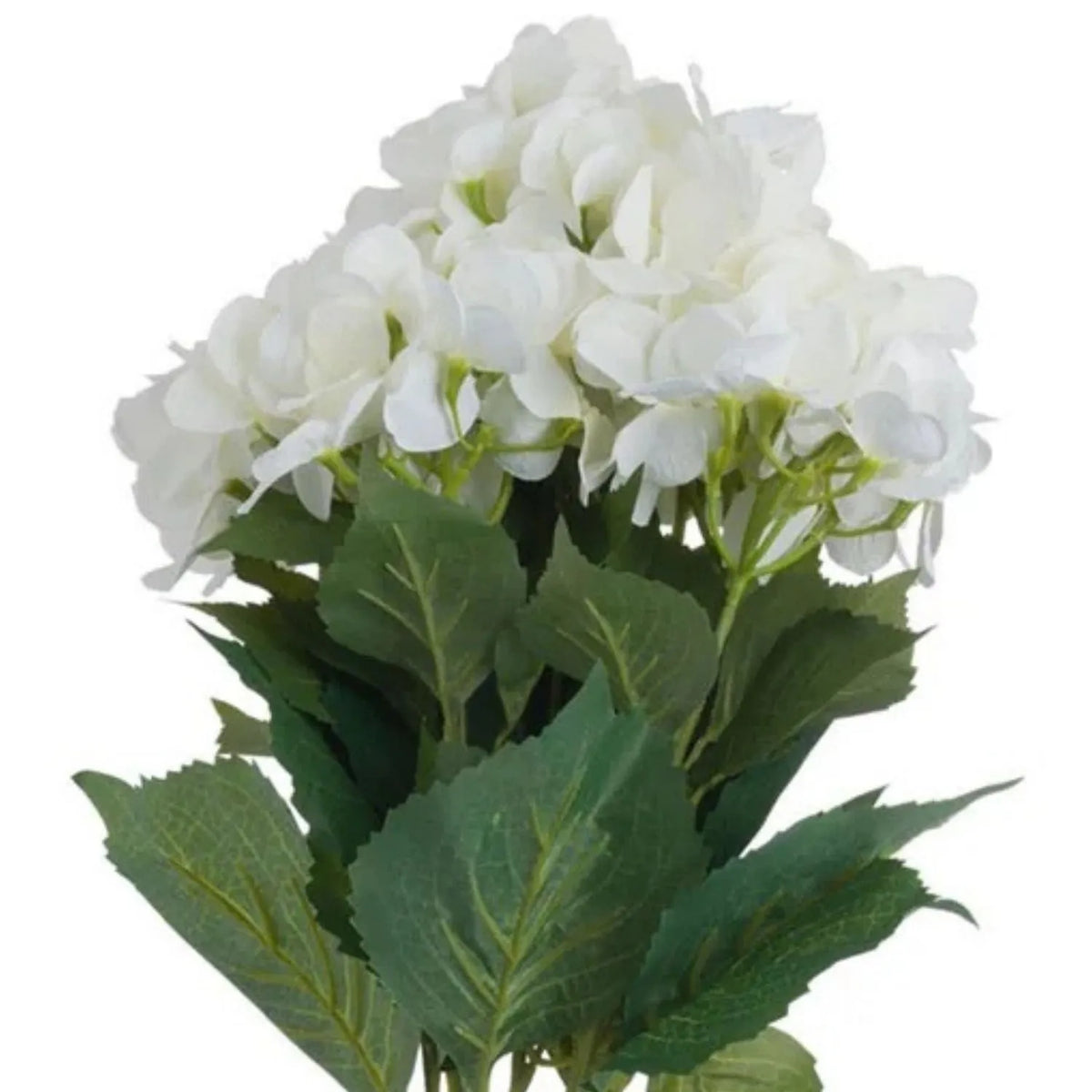 Artificial Creamy White Multi-Bloom Hydrangea Bouquet Stem with Realistic Green Foliage – Lifelike Faux Cream Hydrangea Arrangement 54x34x34cm – Detailed View of Rounded Creamy White Flower Clusters and Branching Green Stems | Click Style