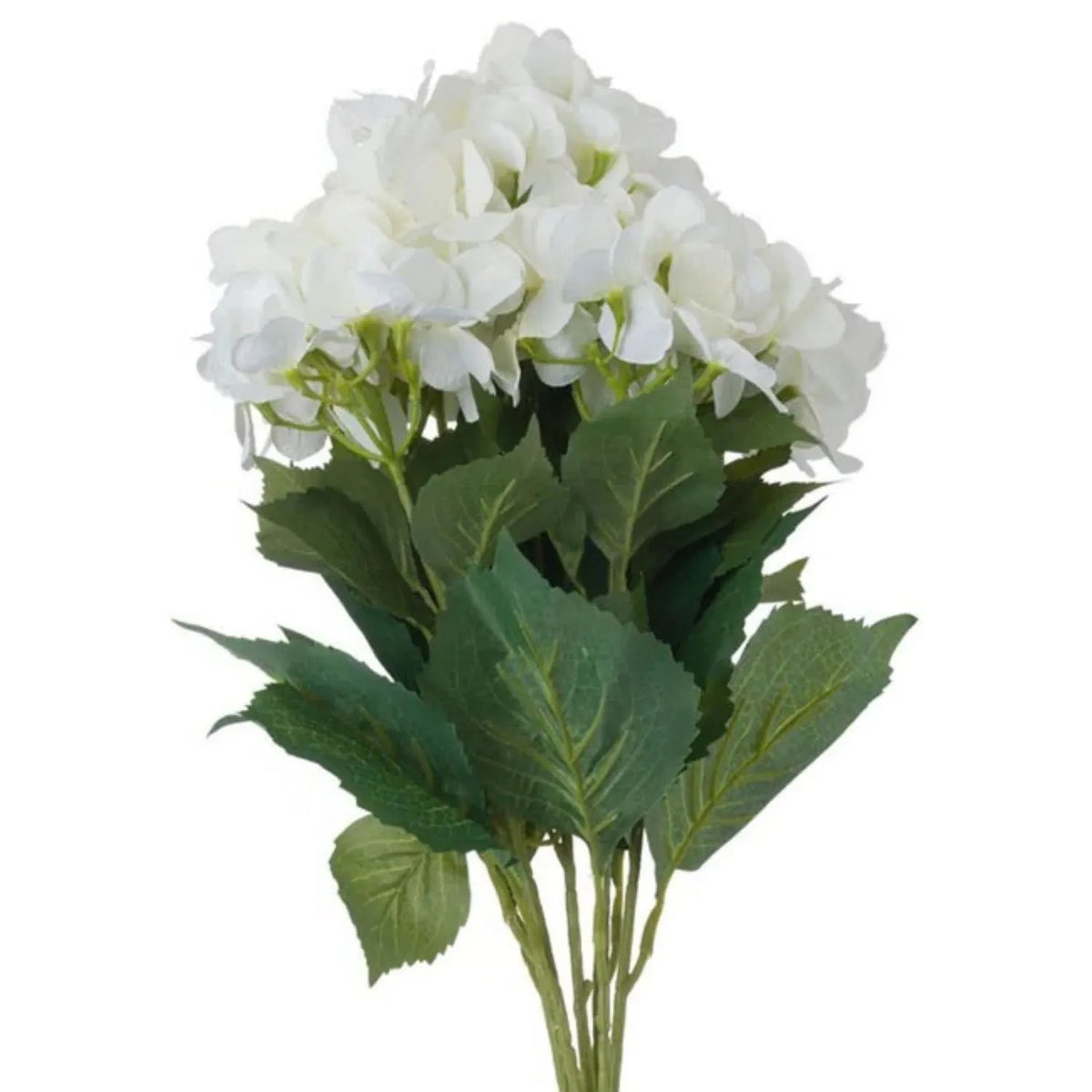 Artificial Creamy White Multi-Bloom Hydrangea Bouquet Stem with Realistic Green Foliage – Lifelike Faux Cream Hydrangea Arrangement 54x34x34cm – Close-Up of Multiple Soft White Hydrangea Blooms with Detailed Green Veined Leaves | Click Style
