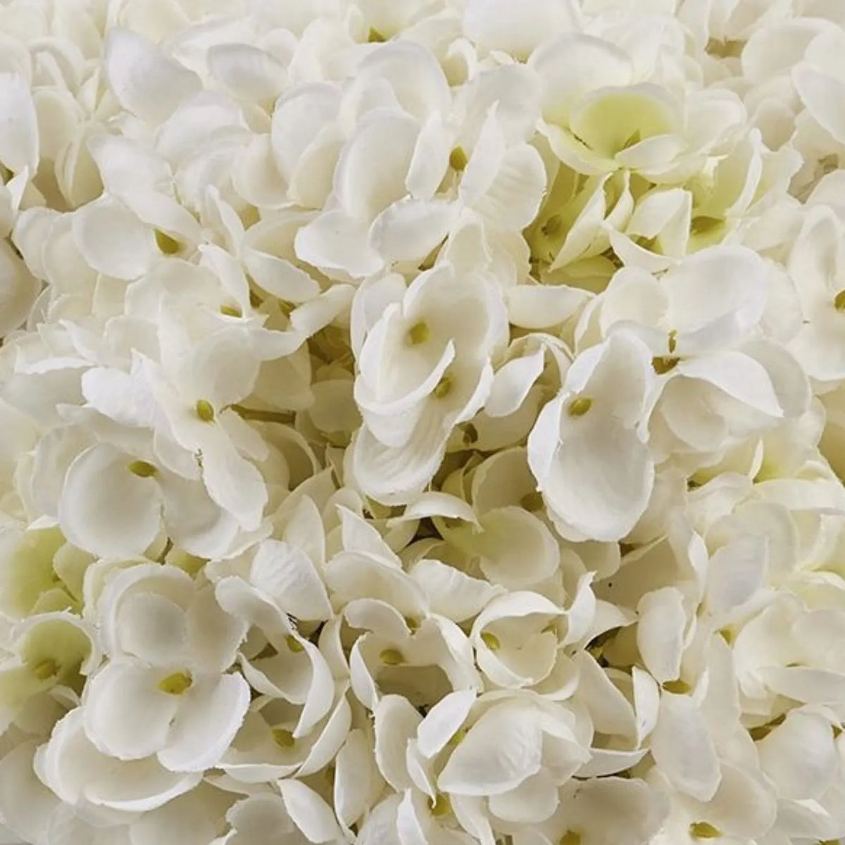 Artificial Creamy White Multi-Bloom Hydrangea Stem with Realistic Green Leaves – Lifelike Faux White Hydrangea Flower 47x23x23cm – Macro Detail of Soft Creamy White Hydrangea Flower Petals Showing Realistic Fabric Texture and Delicate Pale Green Centres | Click Style