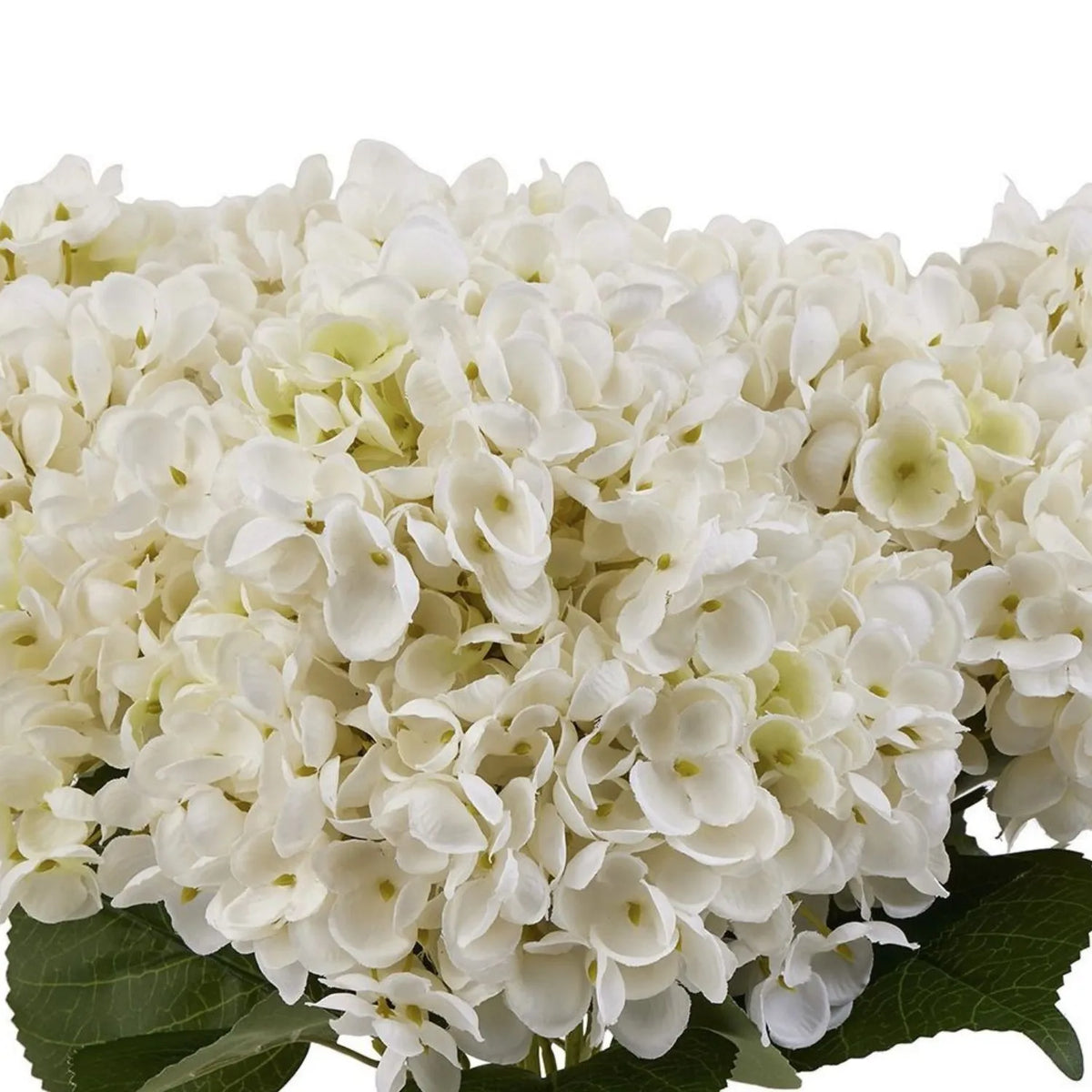 Artificial Creamy White Multi-Bloom Hydrangea Stem with Realistic Green Leaves – Lifelike Faux White Hydrangea Flower 47x23x23cm – Close-Up of Layered Creamy White Artificial Hydrangea Petals with Subtle Ivory Tones and Pale Yellow-Green Flower Centres | Click Style