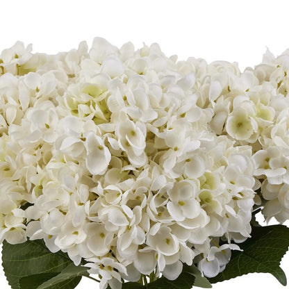 Artificial Creamy White Multi-Bloom Hydrangea Stem with Realistic Green Leaves – Lifelike Faux White Hydrangea Flower 47x23x23cm – Close-Up of Layered Creamy White Artificial Hydrangea Petals with Subtle Ivory Tones and Pale Yellow-Green Flower Centres | Click Style