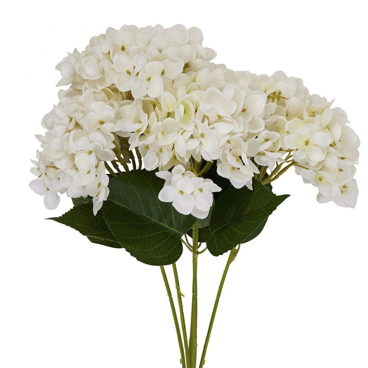 Artificial Creamy White Multi-Bloom Hydrangea Stem with Realistic Green Leaves – Lifelike Faux White Hydrangea Flower 47x23x23cm – Close-Up of Multiple Creamy White Hydrangea Flower Heads with Realistic Dark Green Serrated Leaves and Branching Green Stems | Click Style