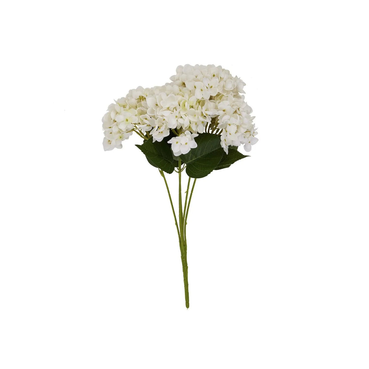 Artificial Creamy White Multi-Bloom Hydrangea Stem with Realistic Green Leaves – Lifelike Faux White Hydrangea Flower 47x23x23cm – Full Length Artificial Hydrangea Stem Showing Multiple Creamy White Flower Heads and Dark Green Leaves Against a White Background | Click Style