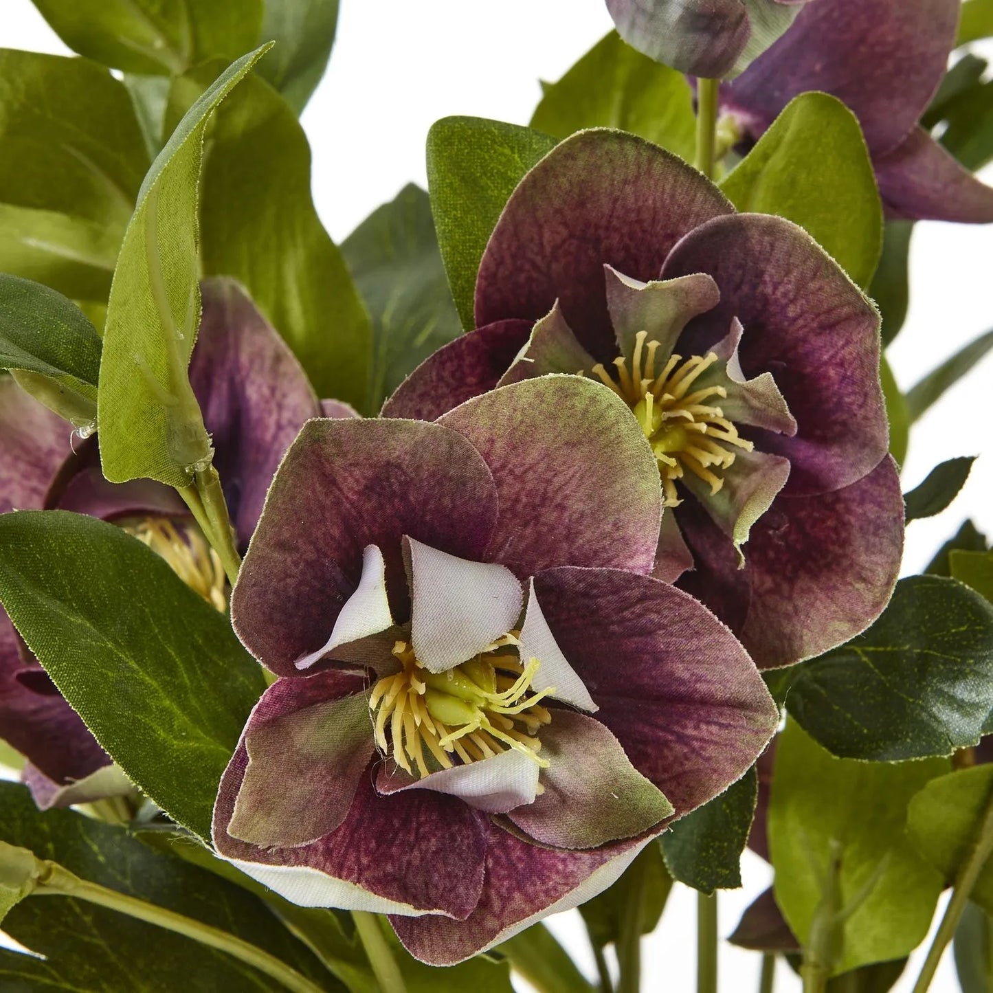 Artificial Deep Burgundy Purple Hellebore Plant in Taupe Ceramic Pot Realistic Faux Christmas Rose Flower Arrangement 41x38x33cm | Click Style