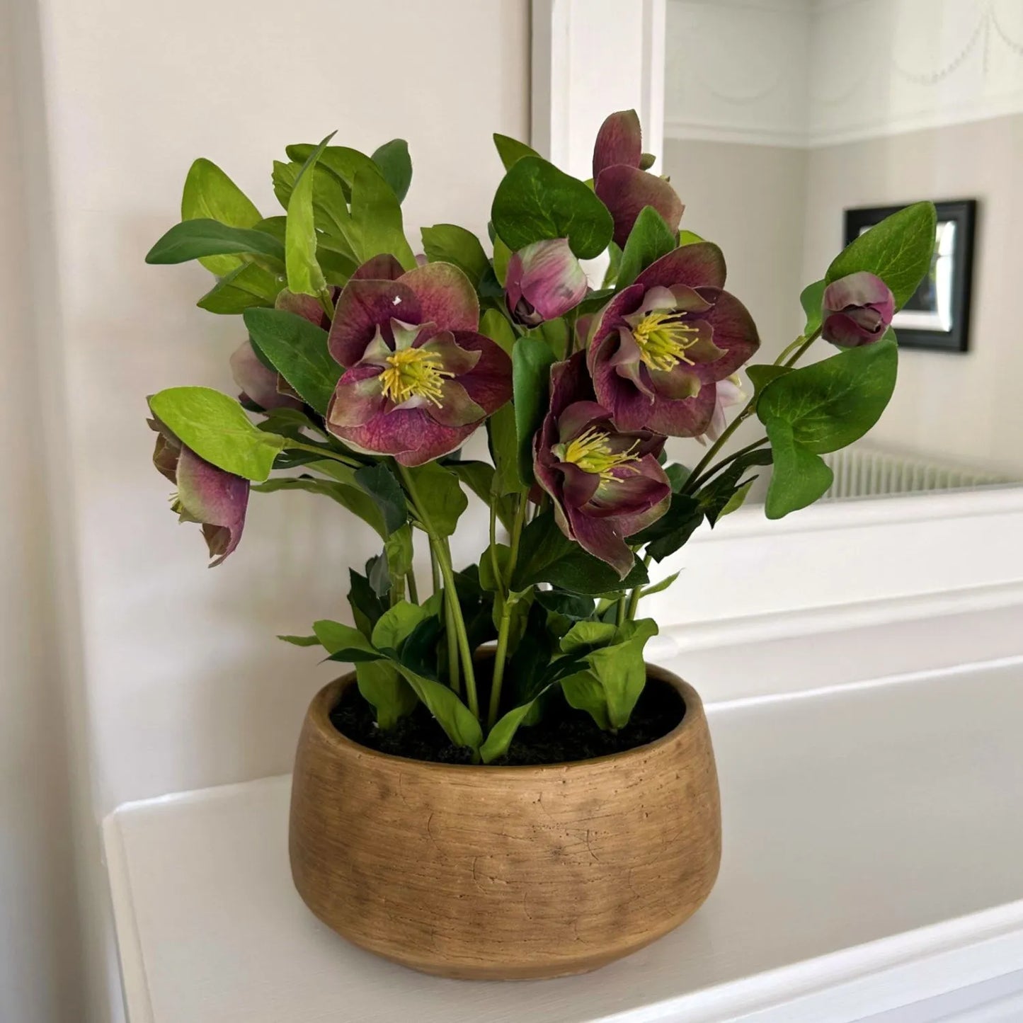 Artificial Deep Burgundy Purple Hellebore Plant in Taupe Ceramic Pot Realistic Faux Christmas Rose Flower Arrangement 41x38x33cm | Click Style