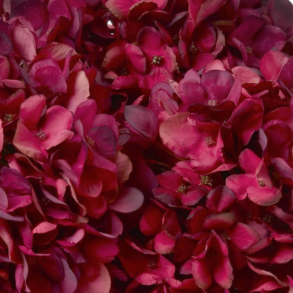 Artificial Deep Ruby Red & Burgundy Hydrangea Stem with Realistic Green Leaves – Lifelike Faux Red Hydrangea Flower 42x18x18cm – Macro View of Layered Ruby Red Burgundy and Pink-Toned Artificial Hydrangea Petals | Click Style