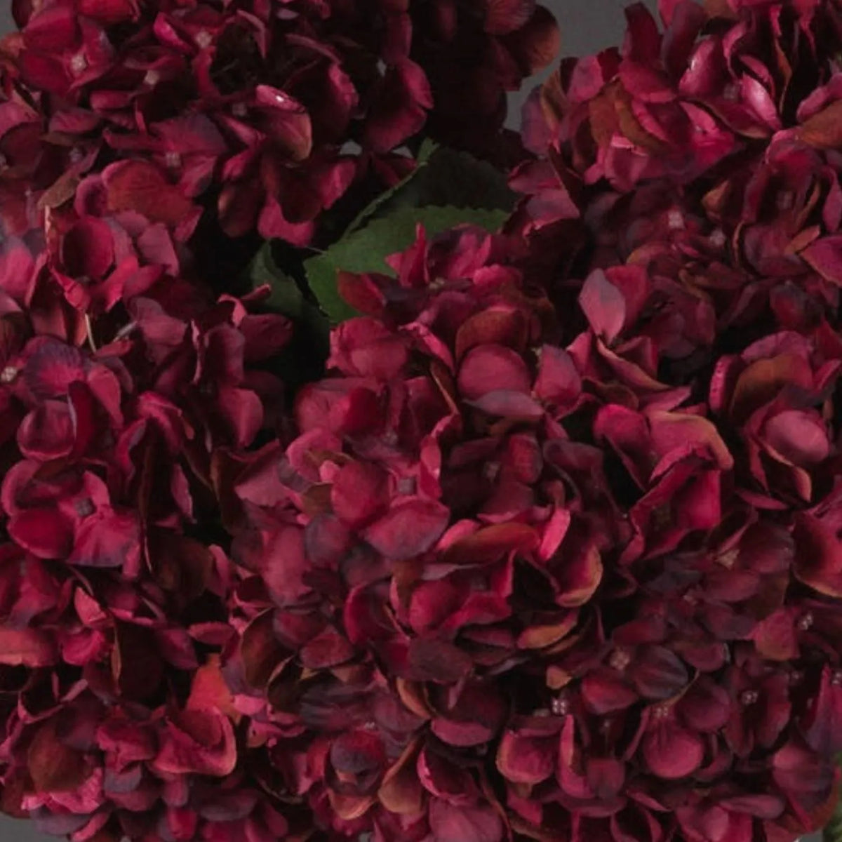 Artificial Deep Ruby Red & Burgundy Hydrangea Stem with Realistic Green Leaves – Lifelike Faux Red Hydrangea Flower 42x18x18cm – Multiple Ruby Red Hydrangea Stems Arranged Together with Green Foliage | Click Style
