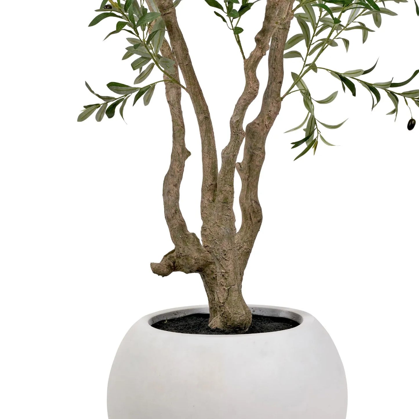 Artificial Extra Large Olive Tree with Black Olives in White Pot – Realistic Faux Potted Indoor Plant Greenery Decor 250x150x150cm - Click Style