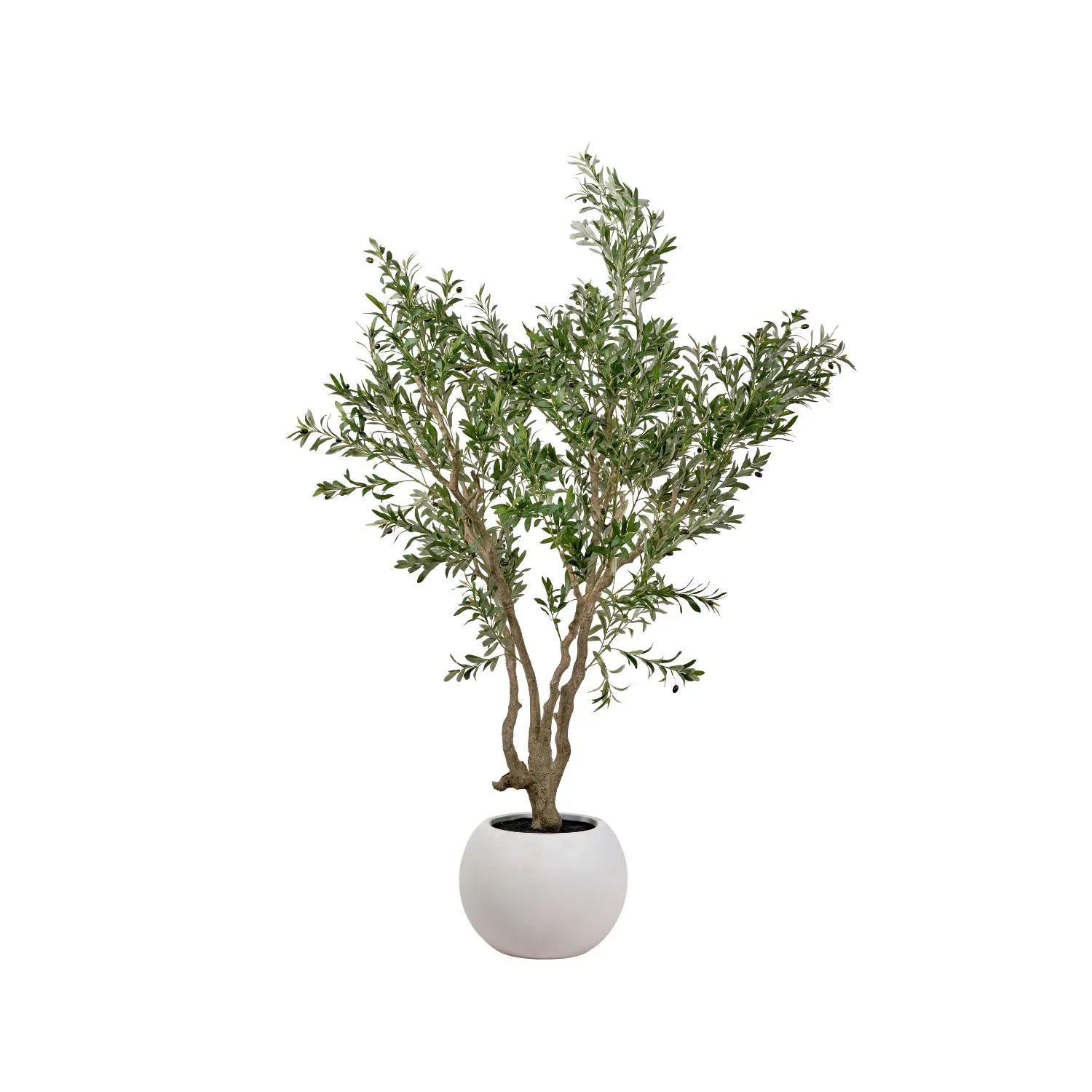 Artificial Extra Large Olive Tree with Black Olives in White Pot – Realistic Faux Potted Indoor Plant Greenery Decor 250x150x150cm - Click Style