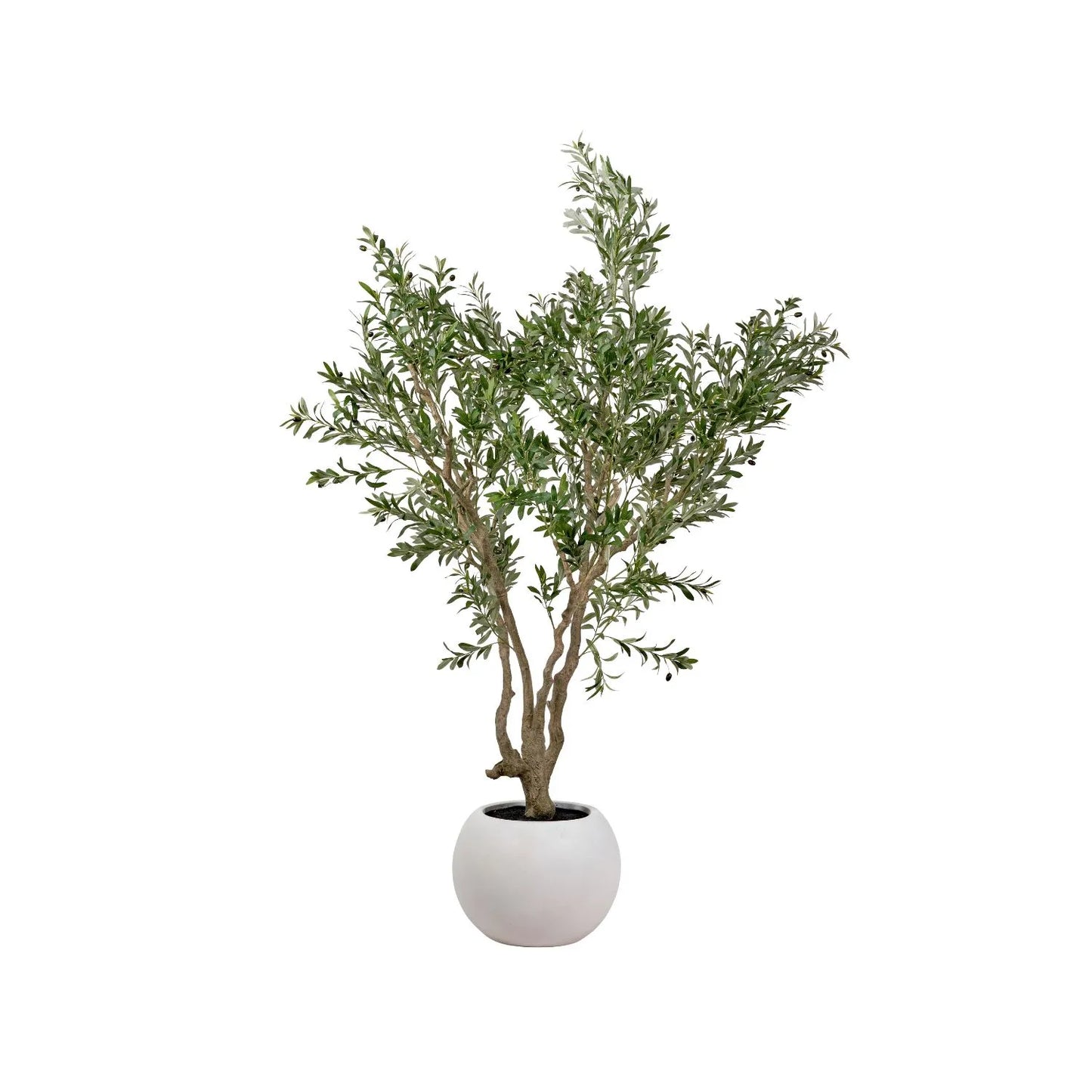 Artificial Extra Large Olive Tree with Black Olives in White Pot – Realistic Faux Potted Indoor Plant Greenery Decor 250x150x150cm - Click Style