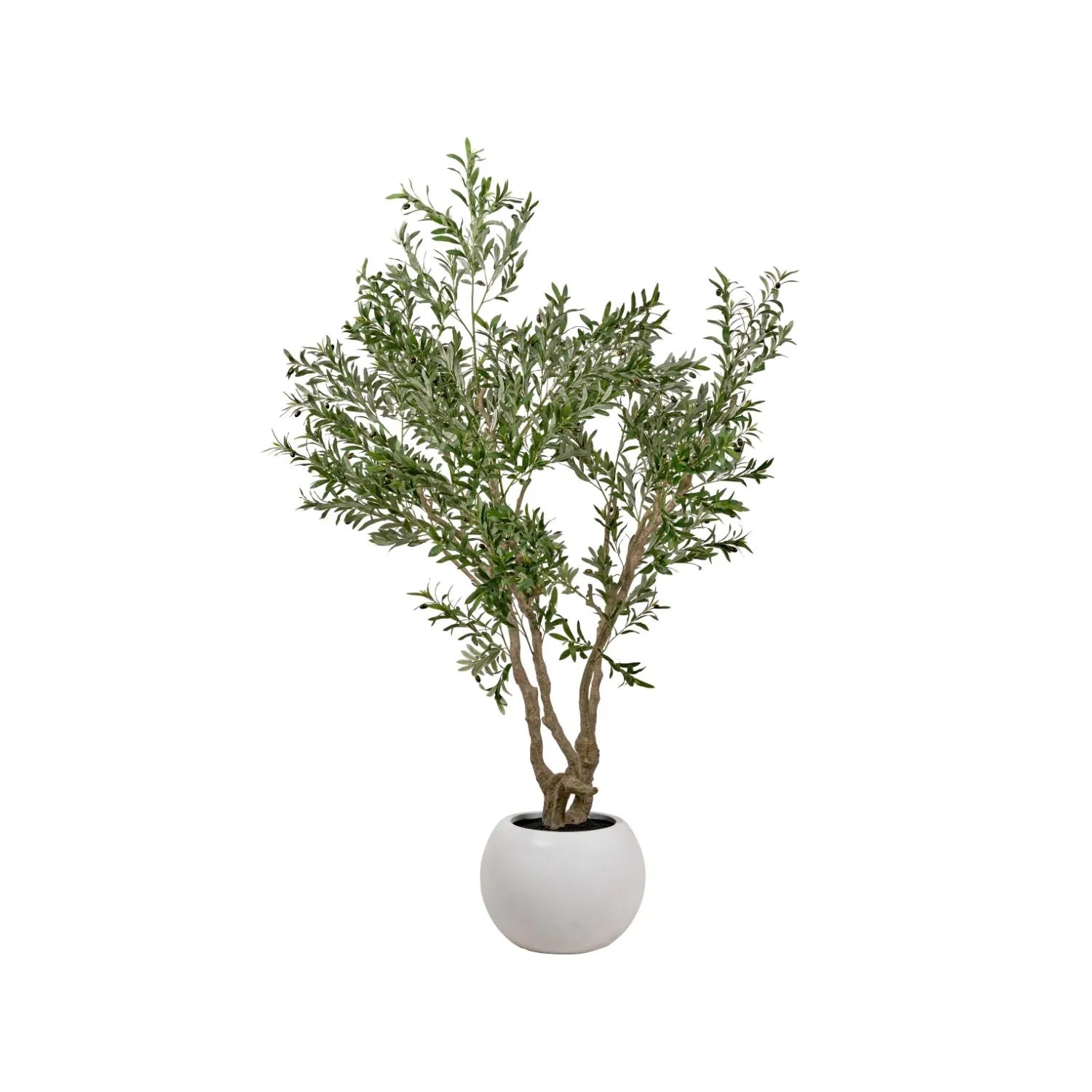 Artificial Extra Large Olive Tree with Black Olives in White Pot – Realistic Faux Potted Indoor Plant Greenery Decor 250x150x150cm - Click Style