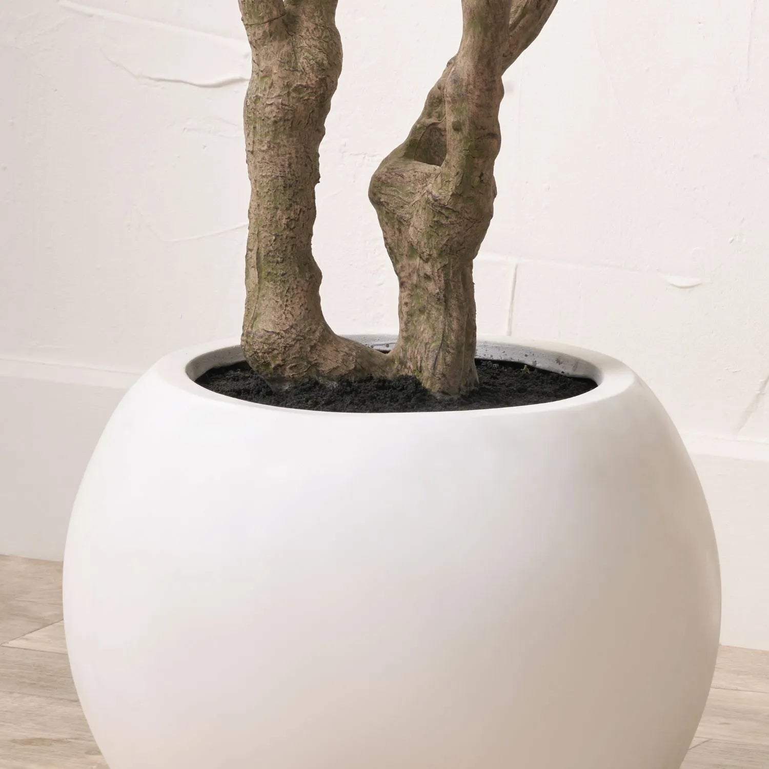 Artificial Extra Large Olive Tree with Black Olives in White Pot – Realistic Faux Potted Indoor Plant Greenery Decor 250x150x150cm - Click Style