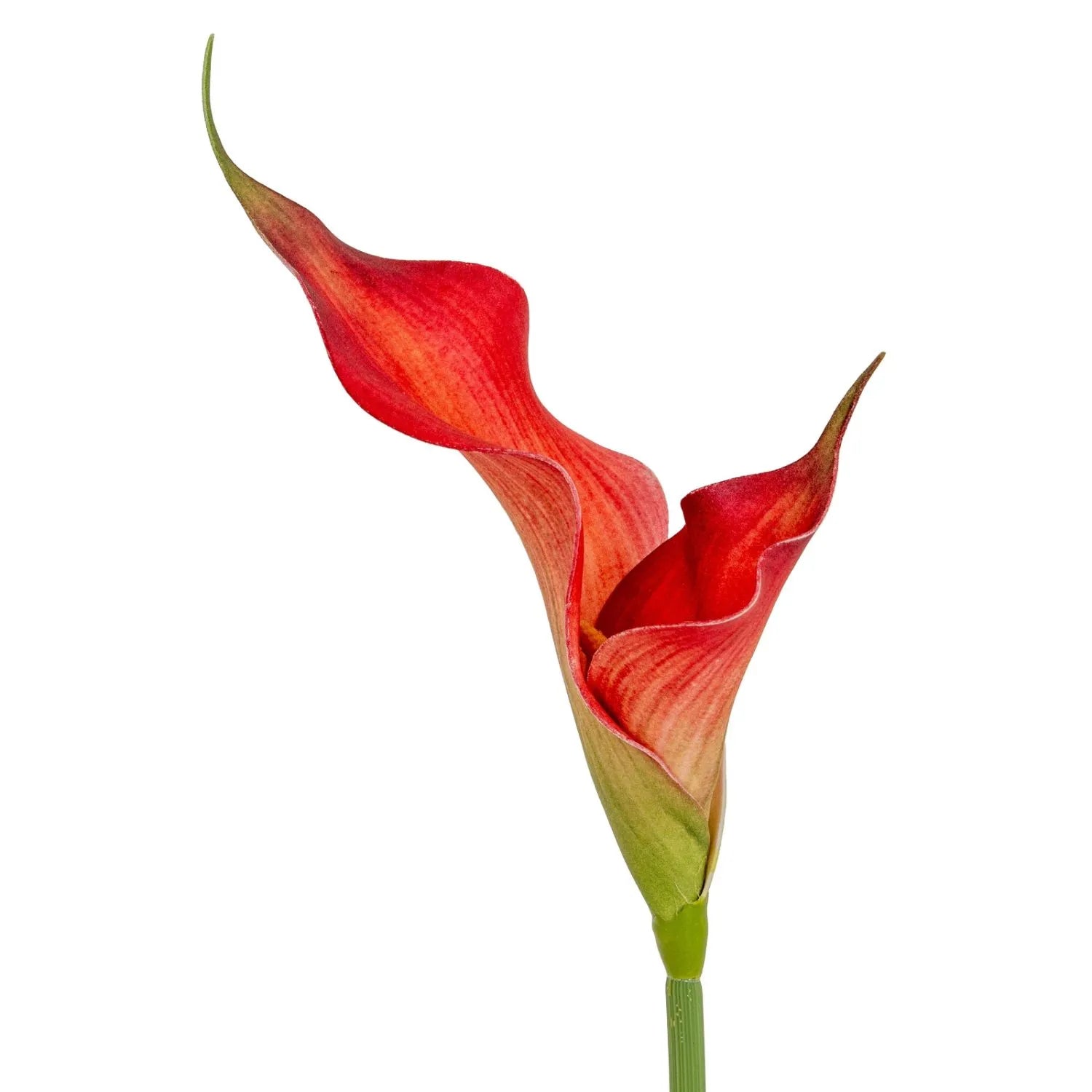 Artificial Fireglow Calla Lily Stem with Sunset Red & Orange Petal-Like Spathe – Lifelike Faux Zantedeschia Flower 70cm | Click Style