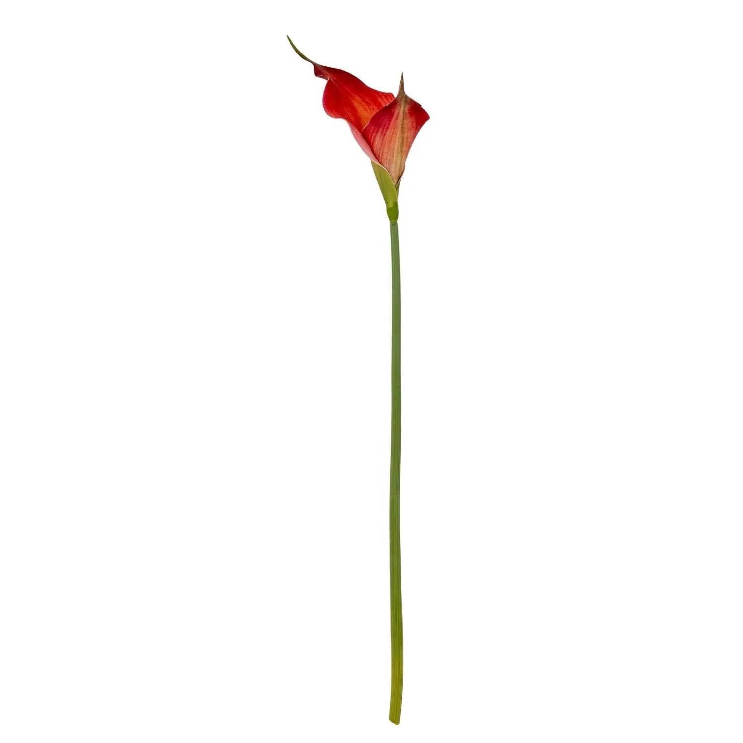 Artificial Fireglow Calla Lily Stem with Sunset Red & Orange Petal-Like Spathe – Lifelike Faux Zantedeschia Flower 70cm | Click Style
