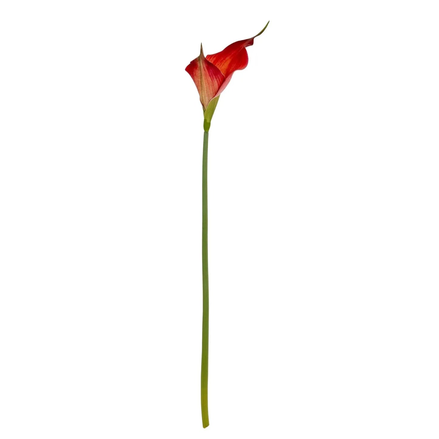 Artificial Fireglow Calla Lily Stem with Sunset Red & Orange Petal-Like Spathe – Lifelike Faux Zantedeschia Flower 70cm | Click Style