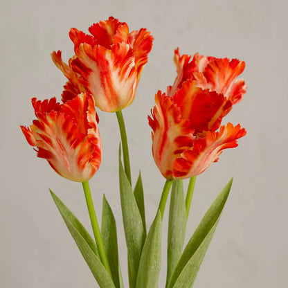 Artificial flame orange parrot tulip stem with lifelike ruffled feathered petals and realistic yellow stamens – faux flower 69cm | Click Style