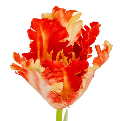 Artificial flame orange parrot tulip stem with lifelike ruffled feathered petals and realistic yellow stamens – faux flower 69cm | Click Style