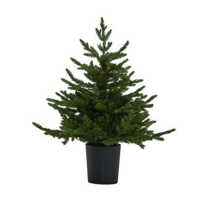 Artificial Green 3ft Pre-Lit Christmas Tree in Pot with 300 Warm White LED Lights – Potted Faux Fir Indoor Decoration | Click Style