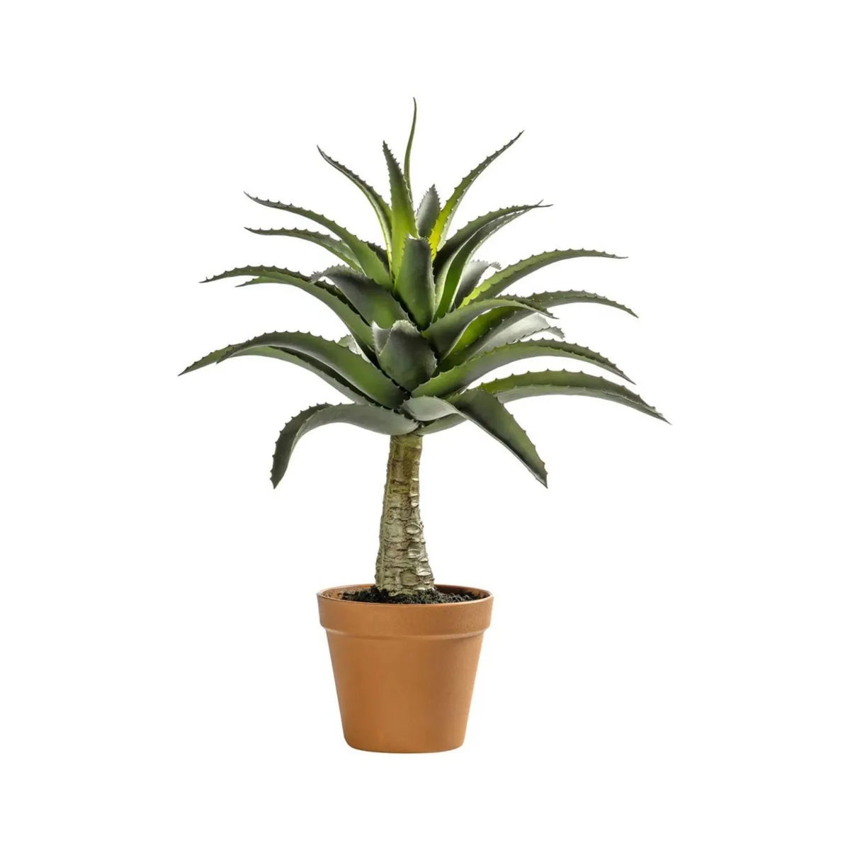 Artificial Green Agave Succulent Plant with Spiky Leaves & Textured Trunk in Terracotta Coloured Pot – Realistic Potted Faux Desert Plant 57x43x43cm showing complete foliage, textured trunk and terracotta coloured pot | Click Style