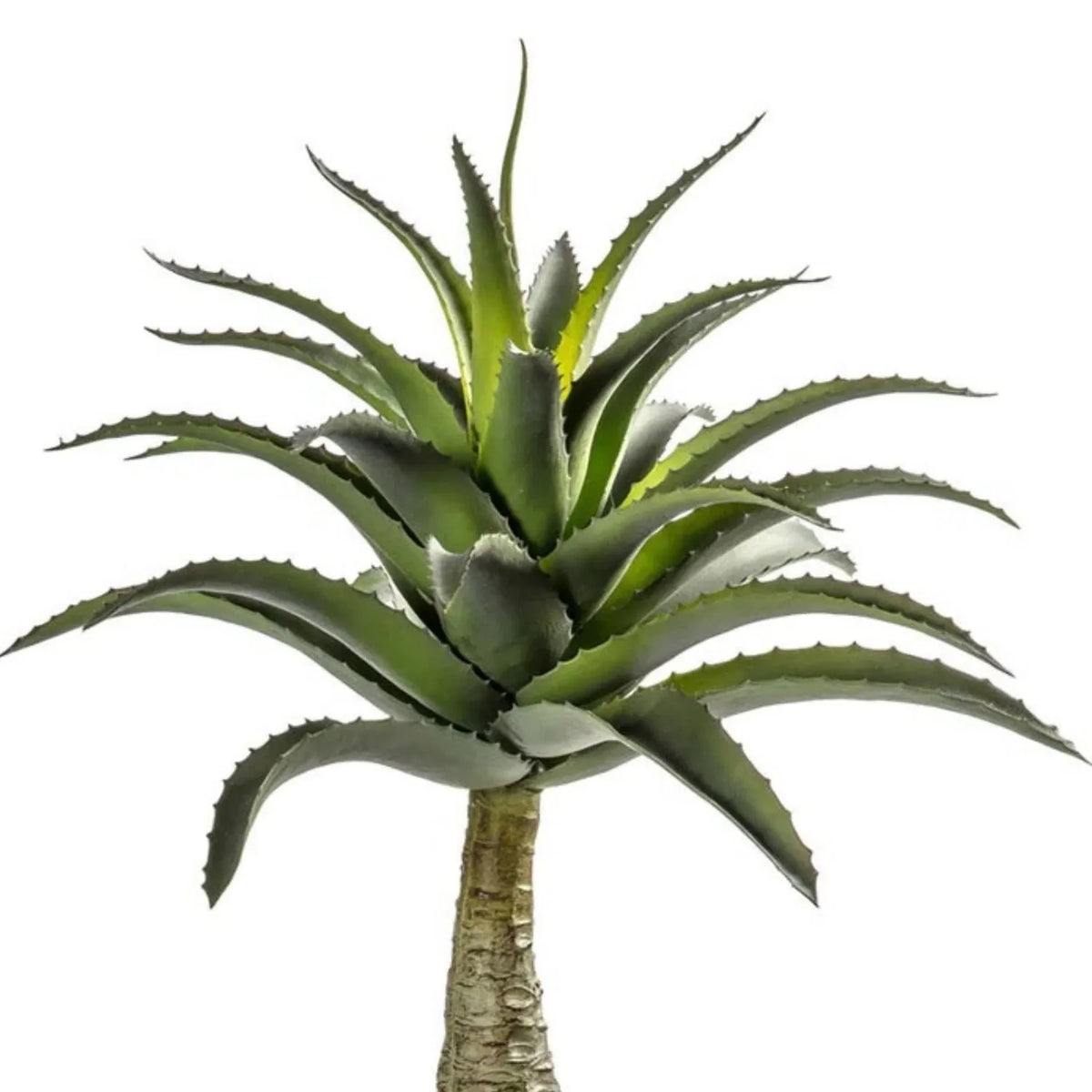 Artificial Green Agave Succulent Plant with Spiky Leaves & Textured Trunk in Terracotta Coloured Pot – Realistic Potted Faux Desert Plant 57x43x43cm showing detailed green serrated leaves and natural colour variations | Click Style