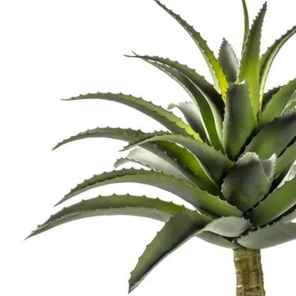 Artificial Green Agave Succulent Plant with Spiky Leaves & Textured Trunk in Terracotta Coloured Pot – Realistic Potted Faux Desert Plant 57x43x43cm showing pointed succulent leaves with serrated edges and layered foliage | Click Style