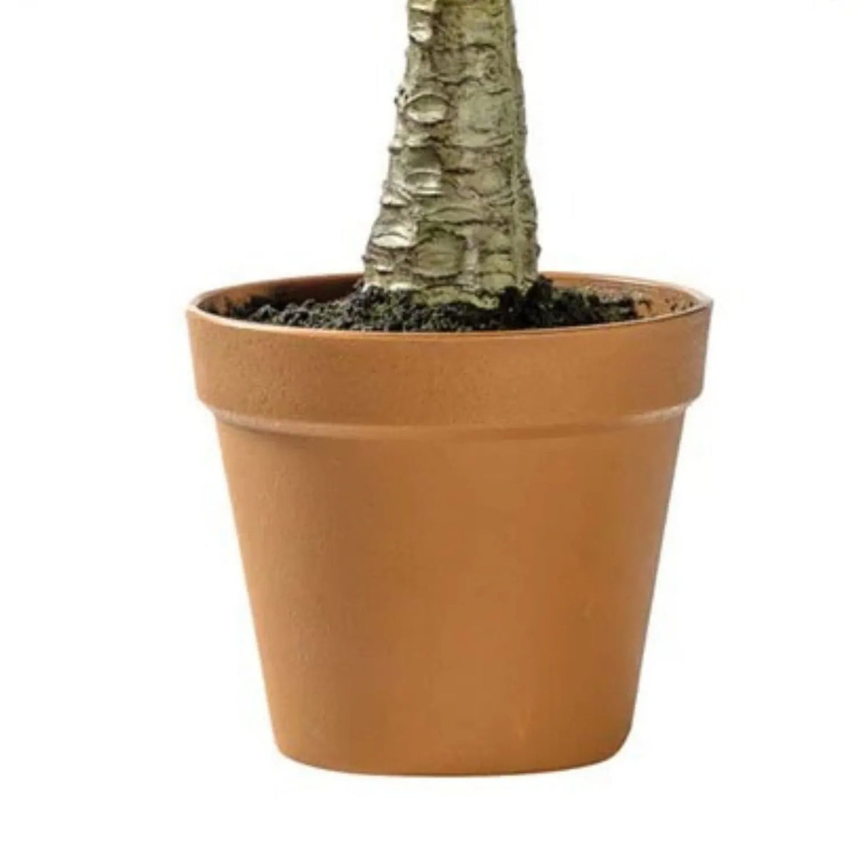 Artificial Green Agave Succulent Plant with Spiky Leaves & Textured Trunk in Terracotta Coloured Pot – Realistic Potted Faux Desert Plant 57x43x43cm showing textured trunk, dark soil and terracotta coloured pot | Click Style