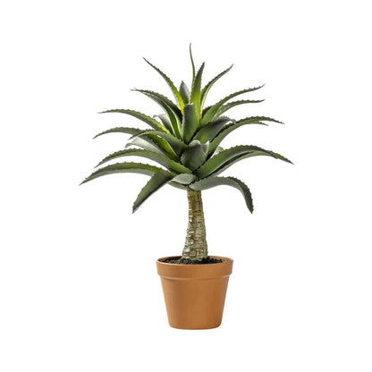 Artificial Green Agave Succulent Plant with Spiky Leaves & Textured Trunk in Terracotta Coloured Pot – Realistic Potted Faux Desert Plant 57x43x43cm on white background | Click Style