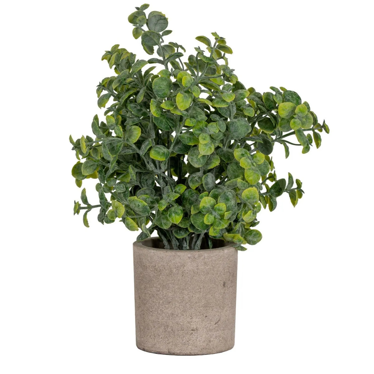 Artificial Green Eucalyptus Plant with Realistic Rounded Leaves in Rustic Stone-Effect Pot – Small Faux Potted Eucalyptus 23x19x19cm shown from an alternative angle with spreading eucalyptus foliage and rustic pot | Click Style